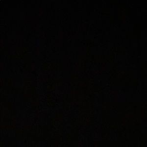 Meet your Posher, Camryn